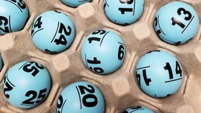 Khám Phá Gà Chọi C1: Từ Đá Gà Trực Tiếp Đến Thế Giới Đam Mê